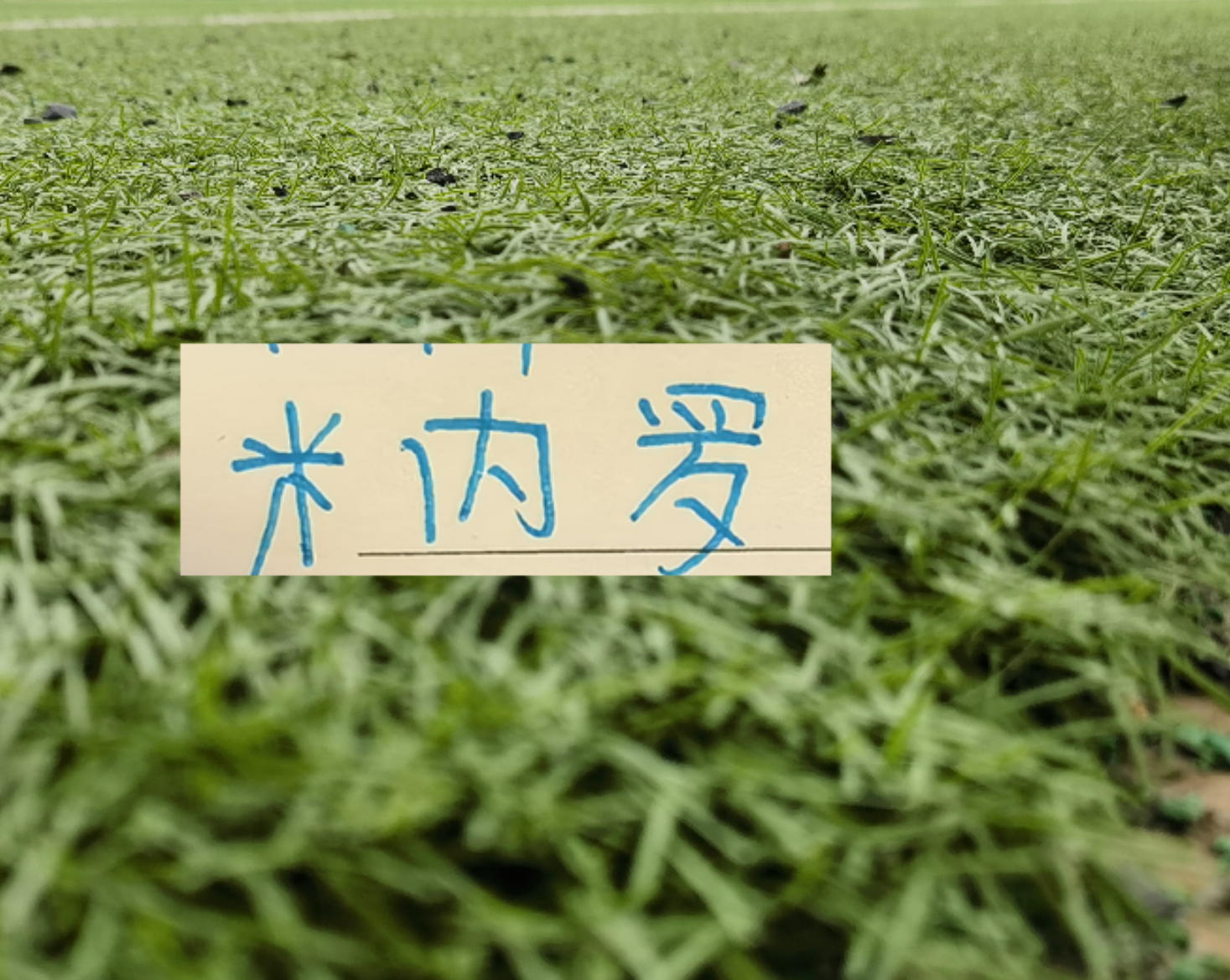 开云团队-11号米内罗又更新训练照片 去年他可是14场联赛斩获8个球申花米神